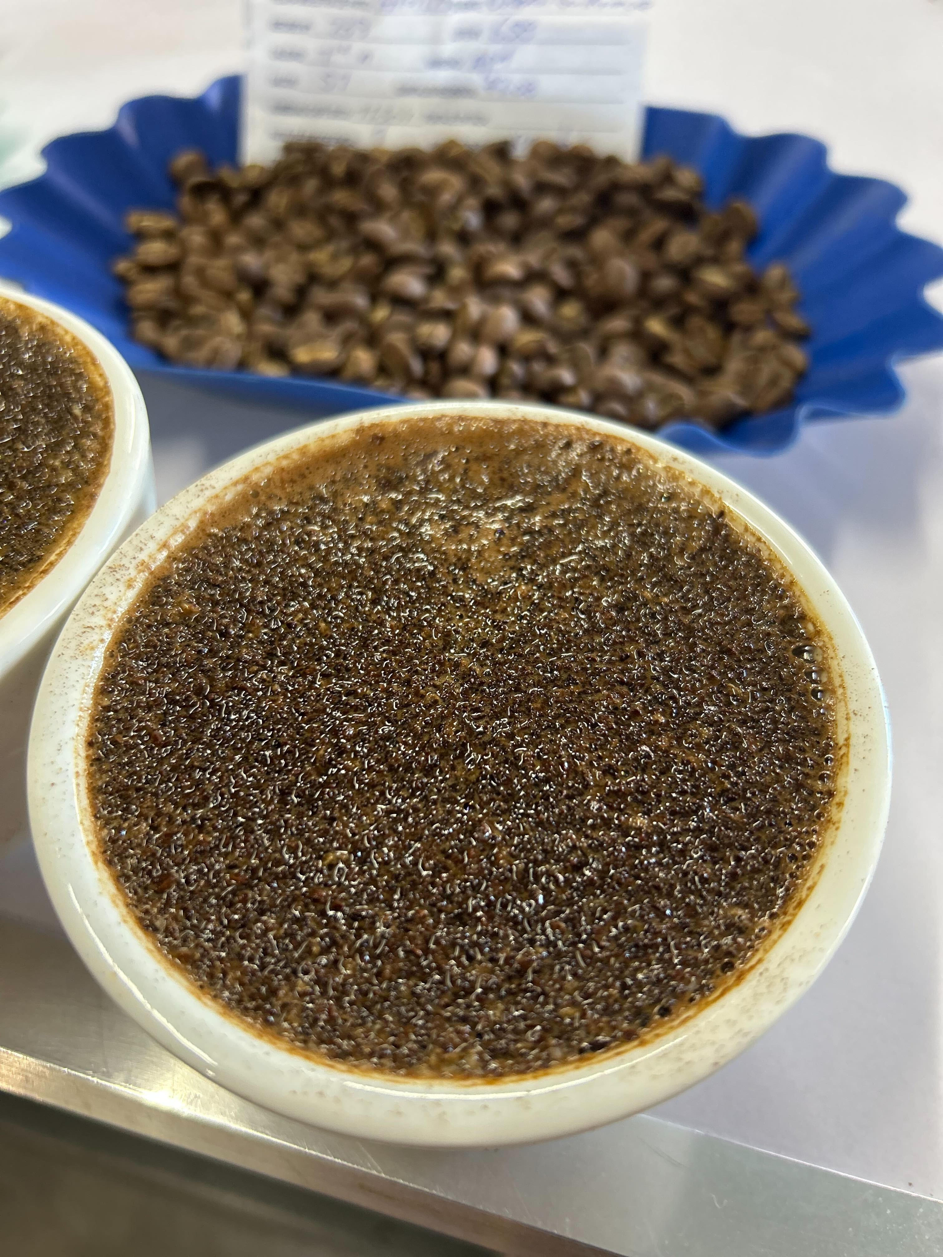 Grading & Scoring: How San Miguel finds the perfect cup...