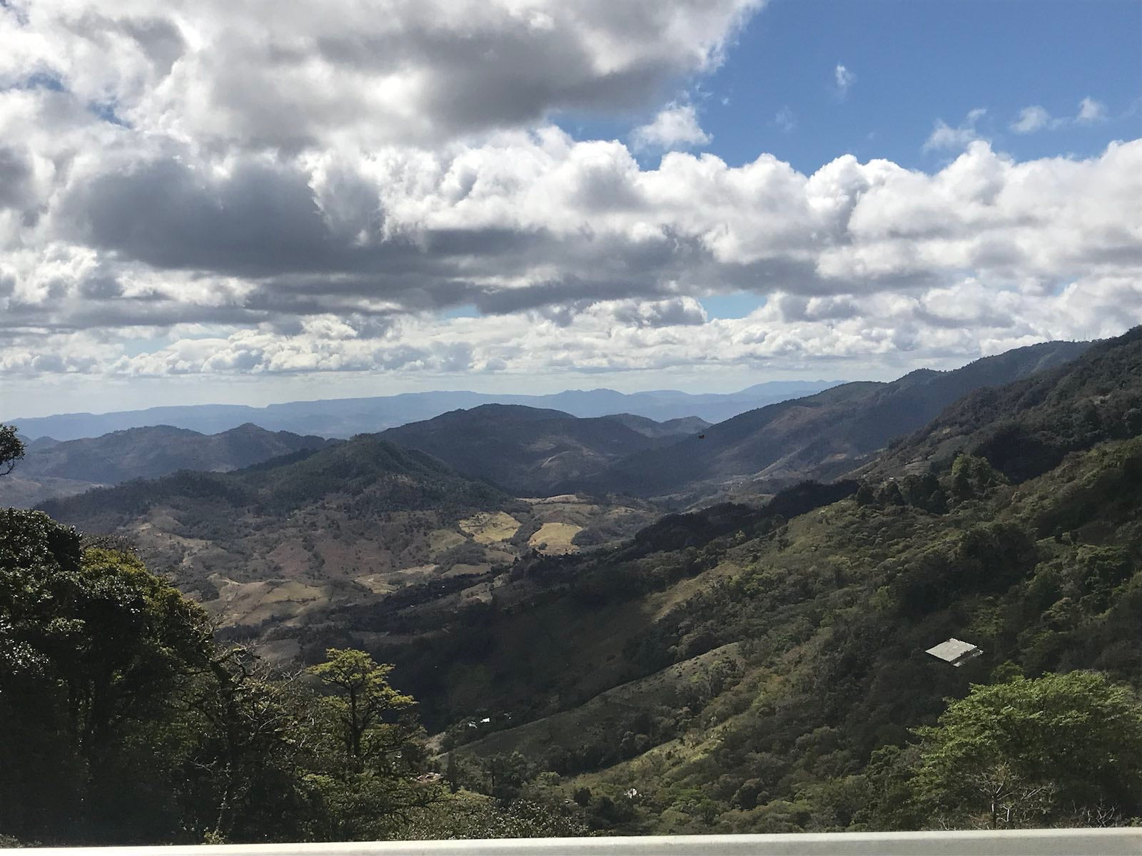 Pacamara | Single varietal microlot coffee from El Quetzal