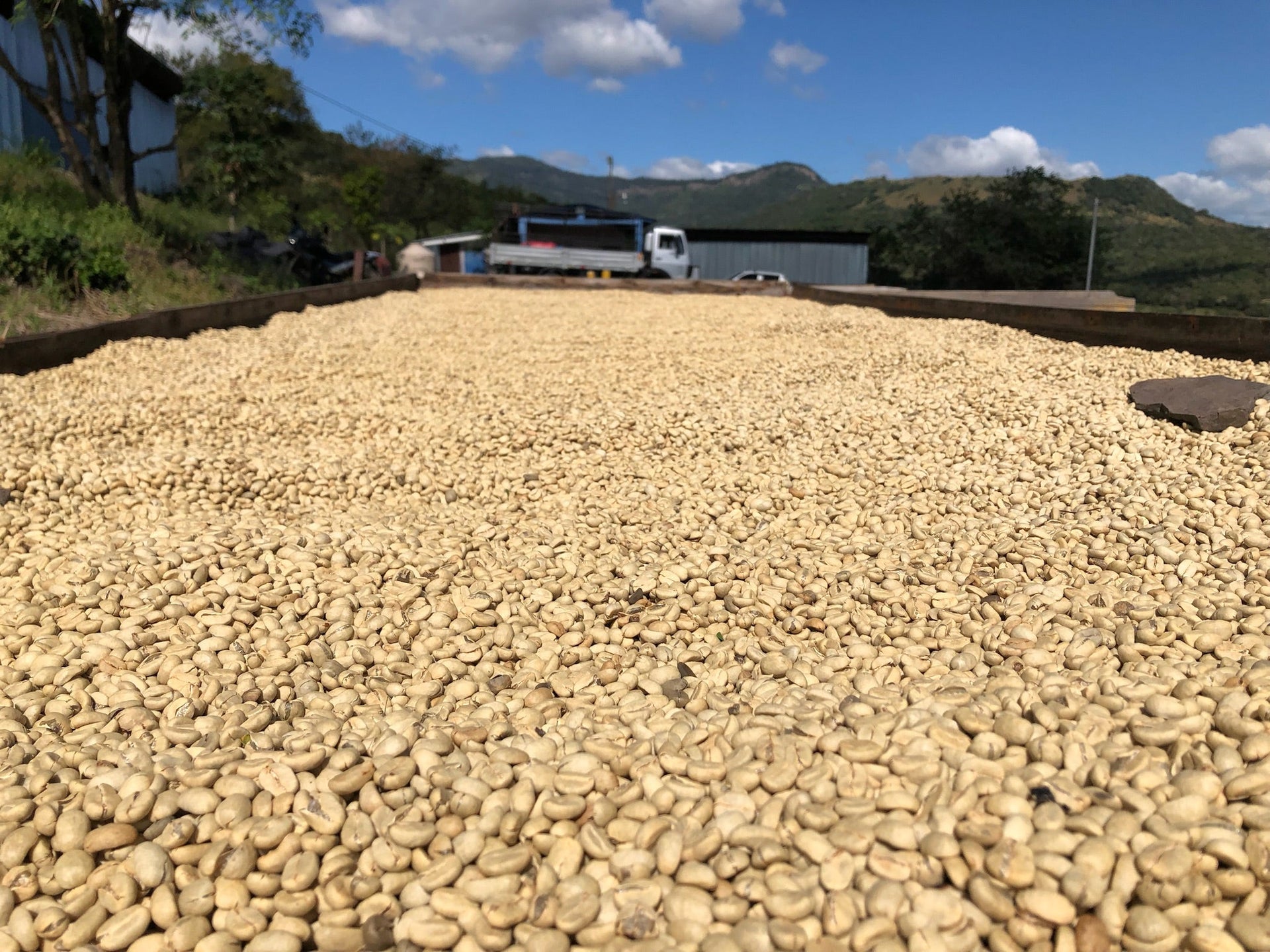 Coffee education from El Quetzal Coffee Co.