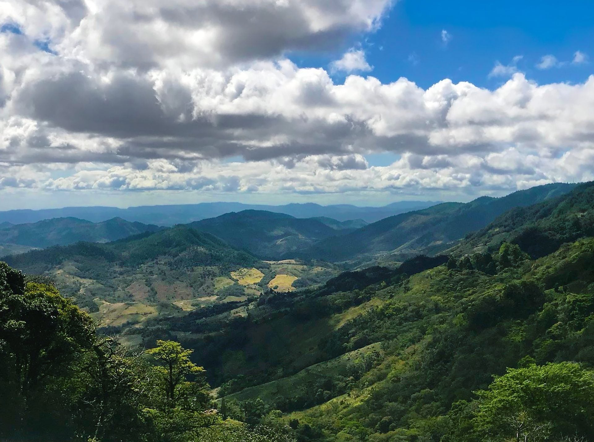 Mountain view from El Quetzal estate in the cloud forest of Matagalpa, Nicaragua