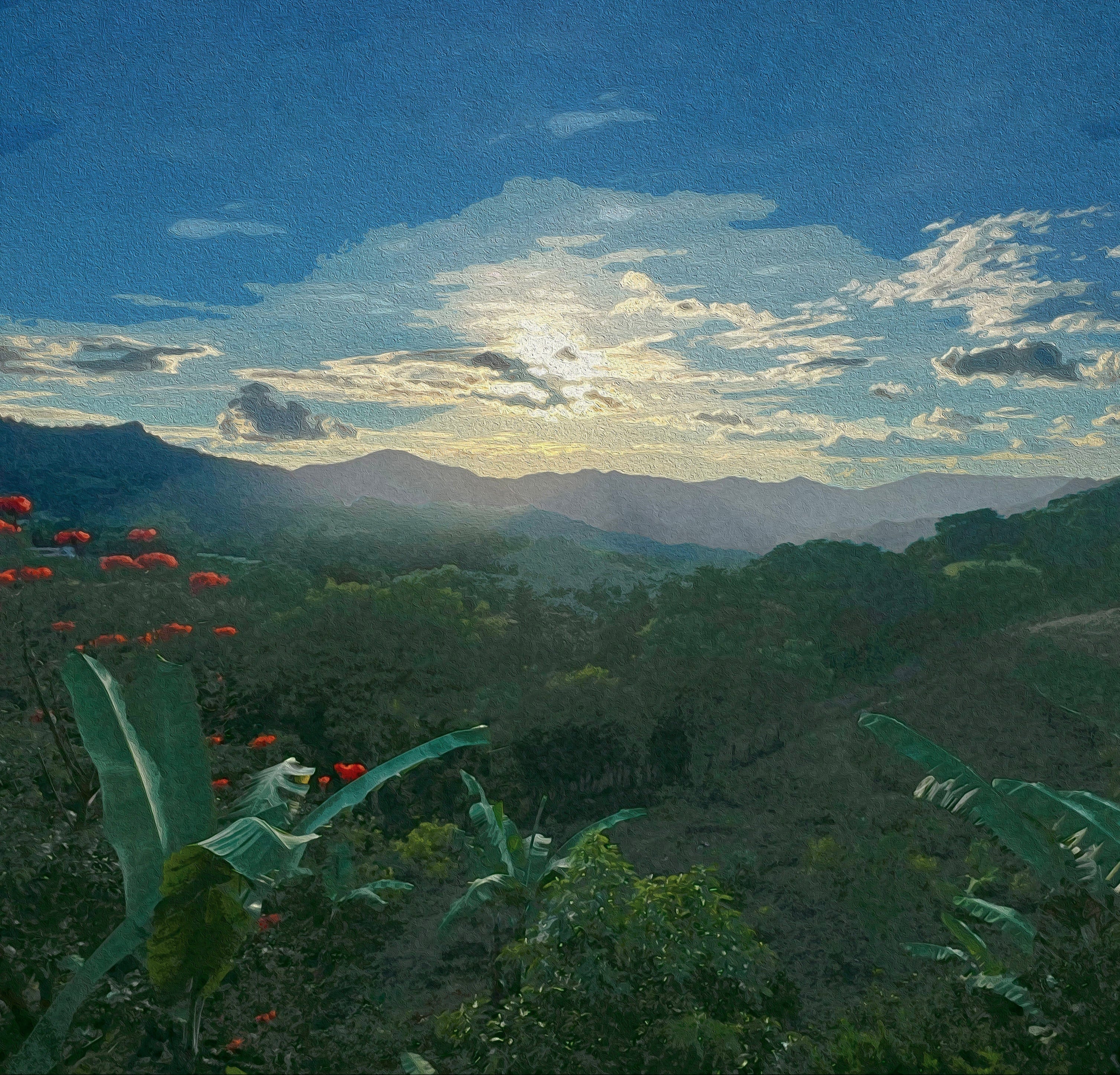 El Quetzal Estate
