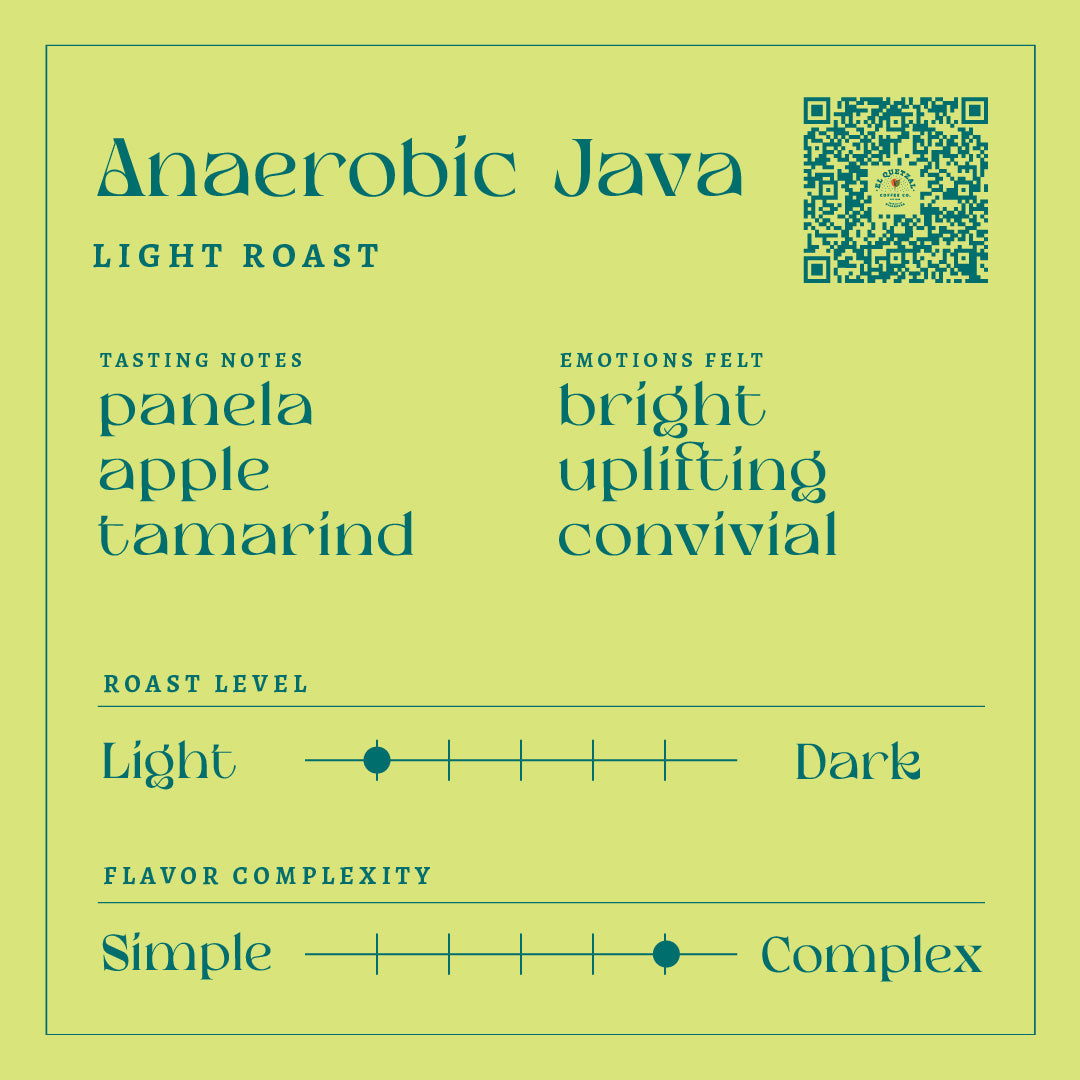Anaerobic Java | Light Roast Coffee
