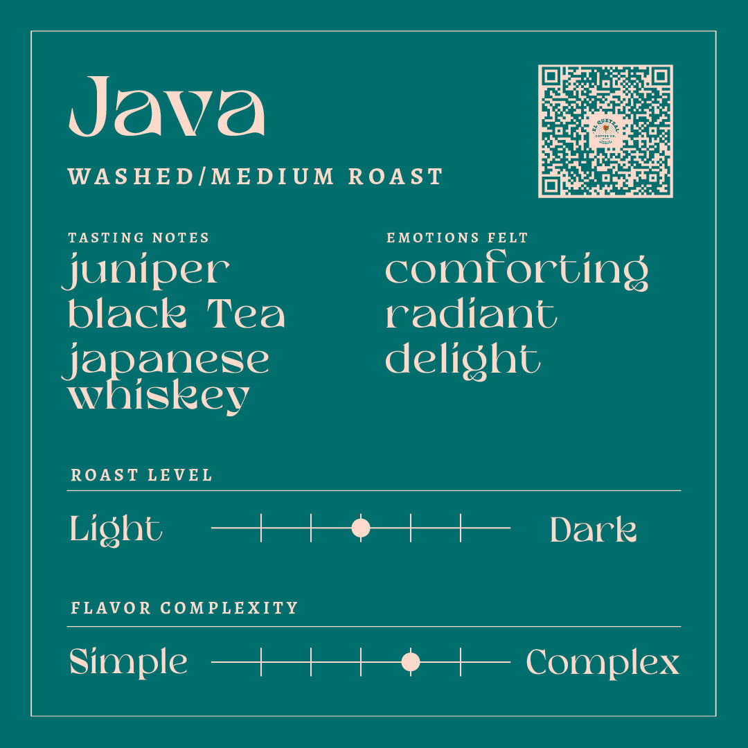 Washed Java | Medium Roast Coffee