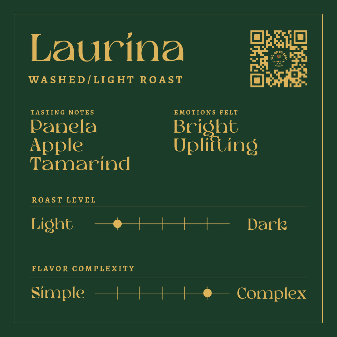 Laurina | Roasted Coffee | Washed