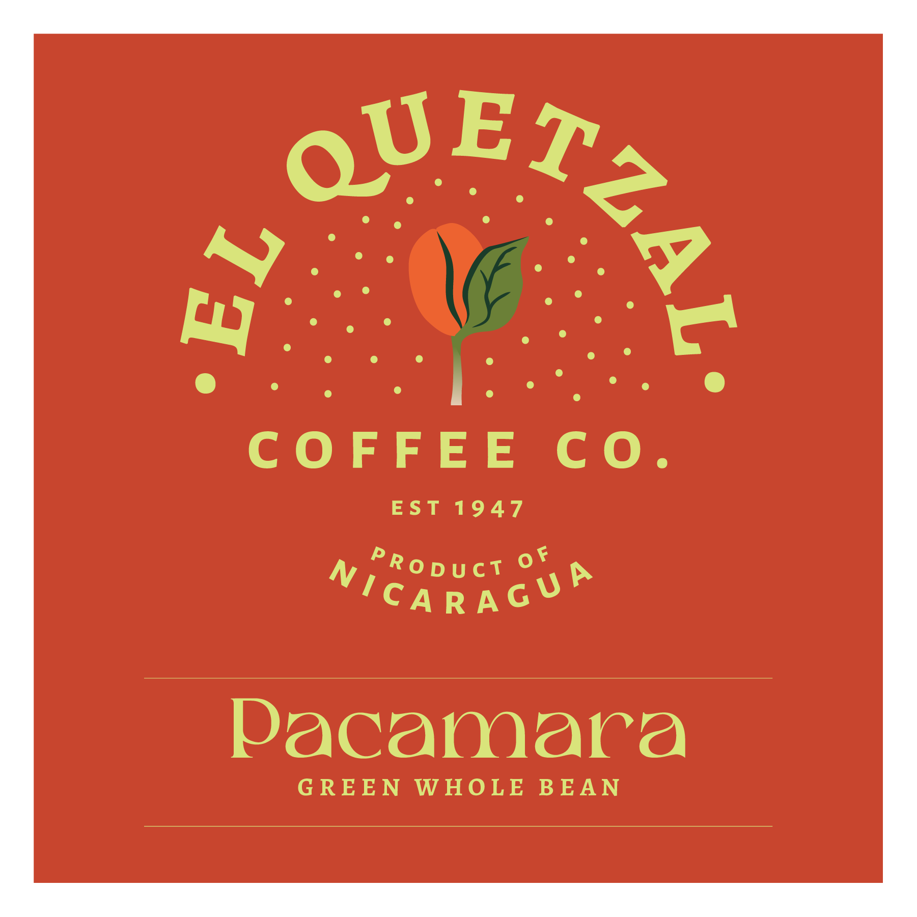 El Quetzal | Java lavado | Nicaragua | Café verde