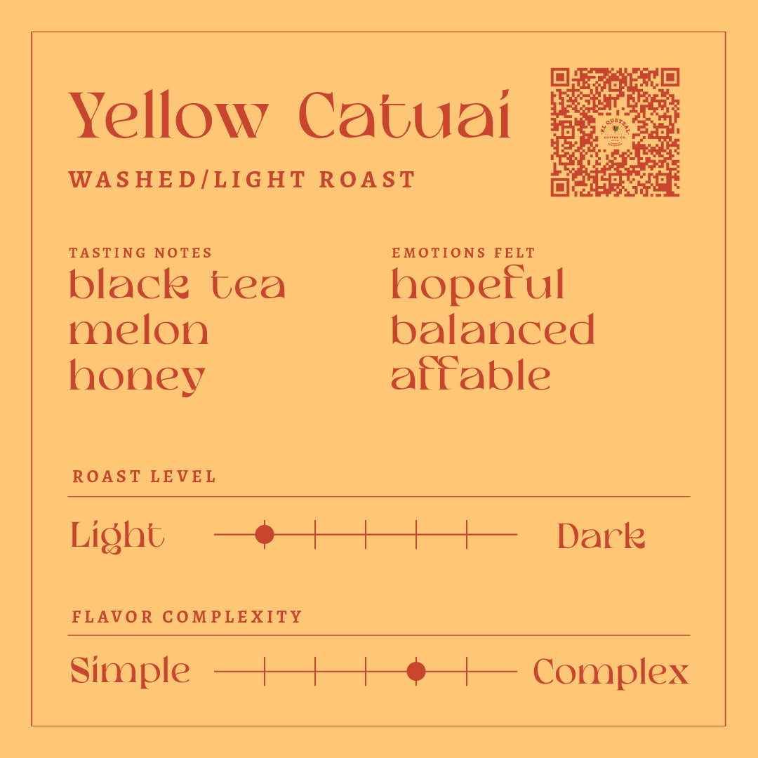 Washed Yellow Catuai | Light Roast Coffee